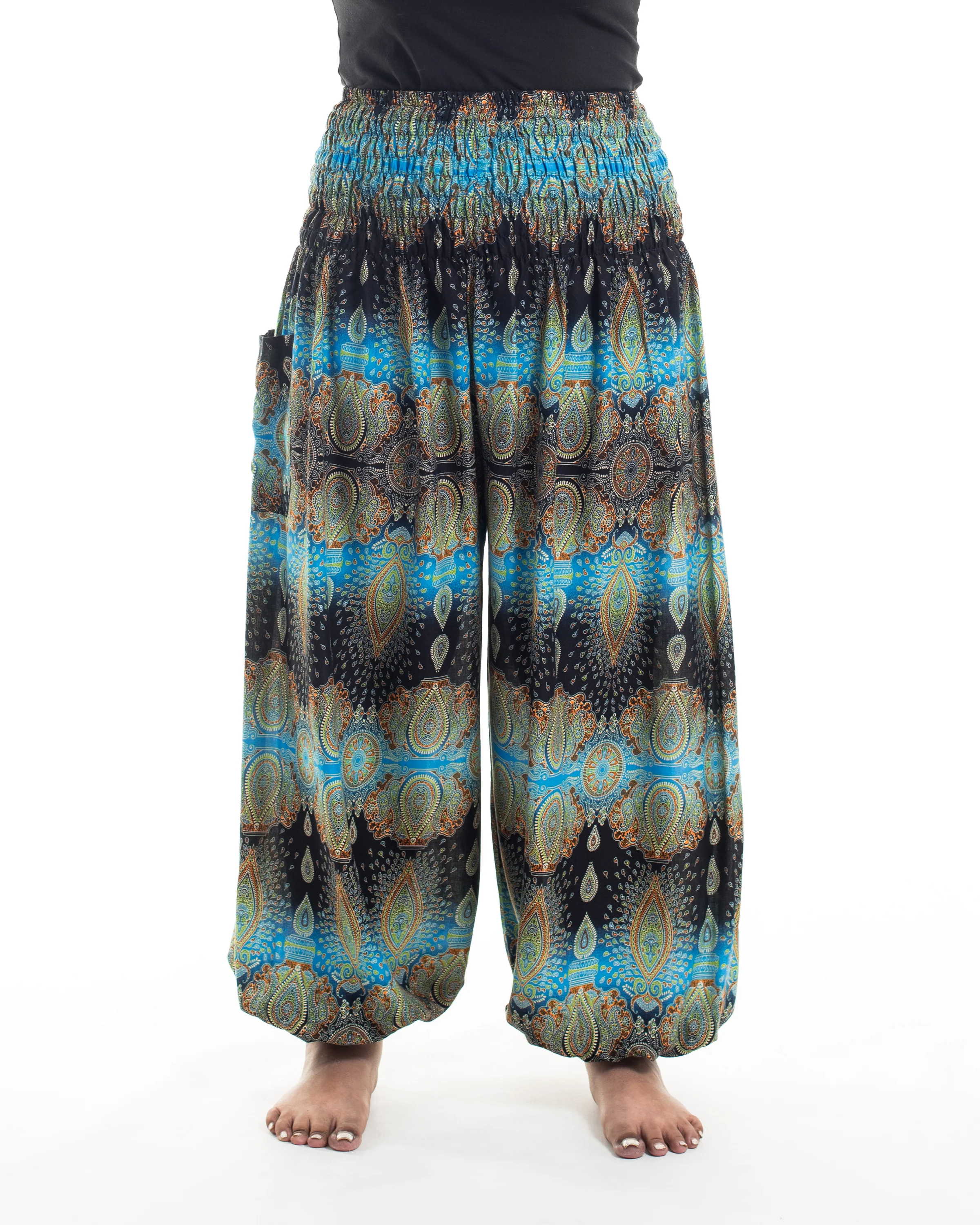 Plus Size Paisley Women's Harem Pants in Turquoise
