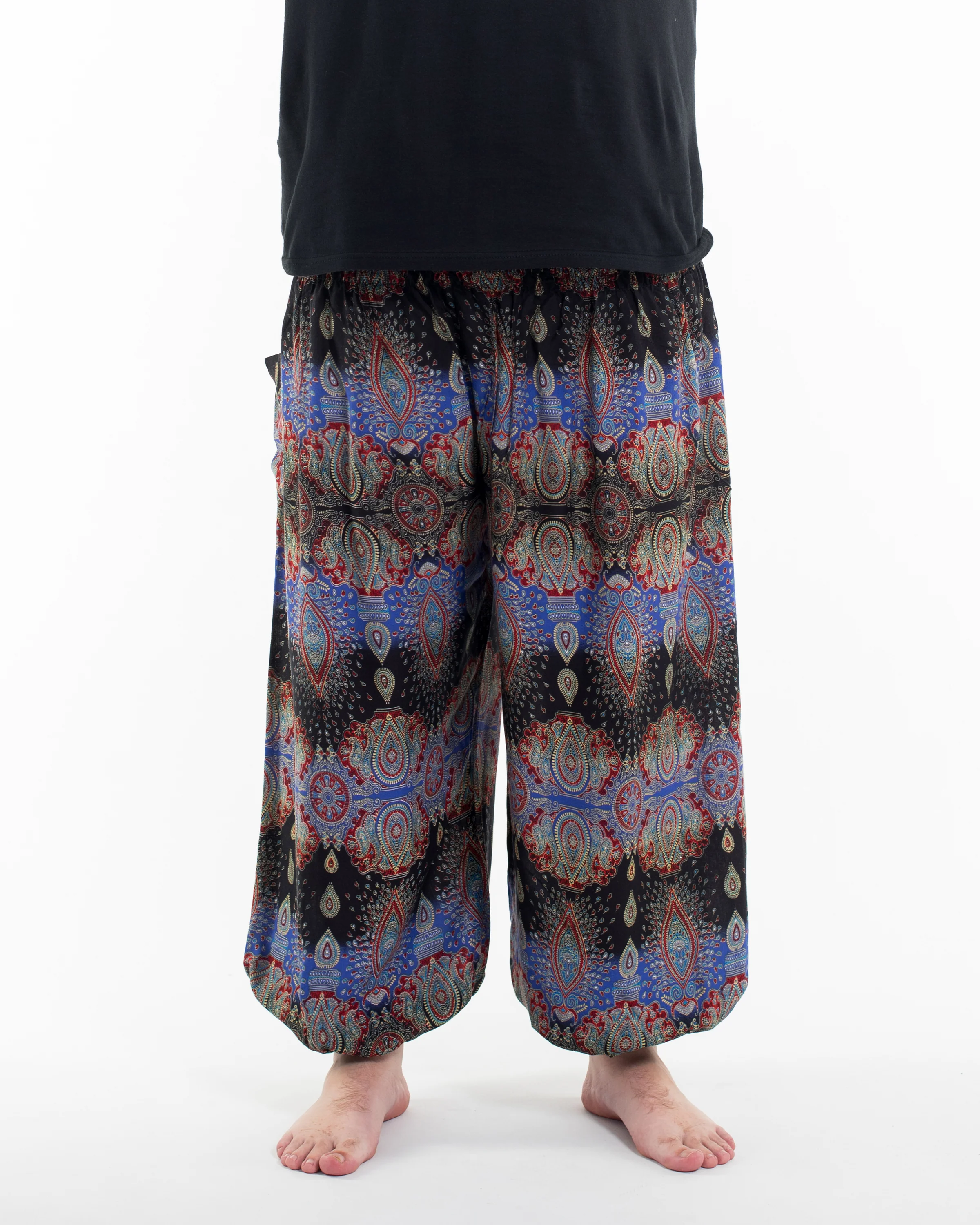 Plus Size Paisley Men's Harem Pants in Blue