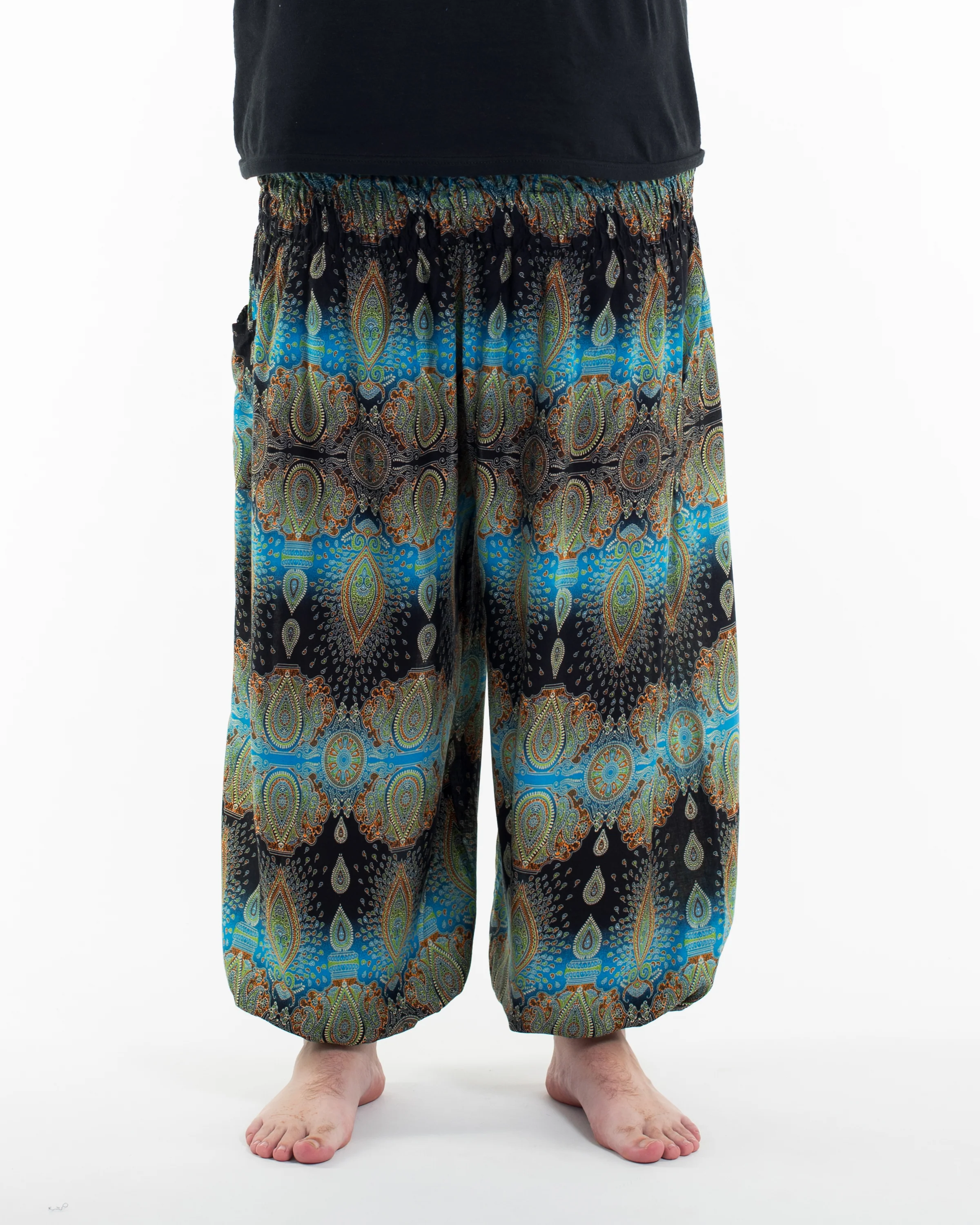 Plus Size Paisley Men's Harem Pants in Turquoise