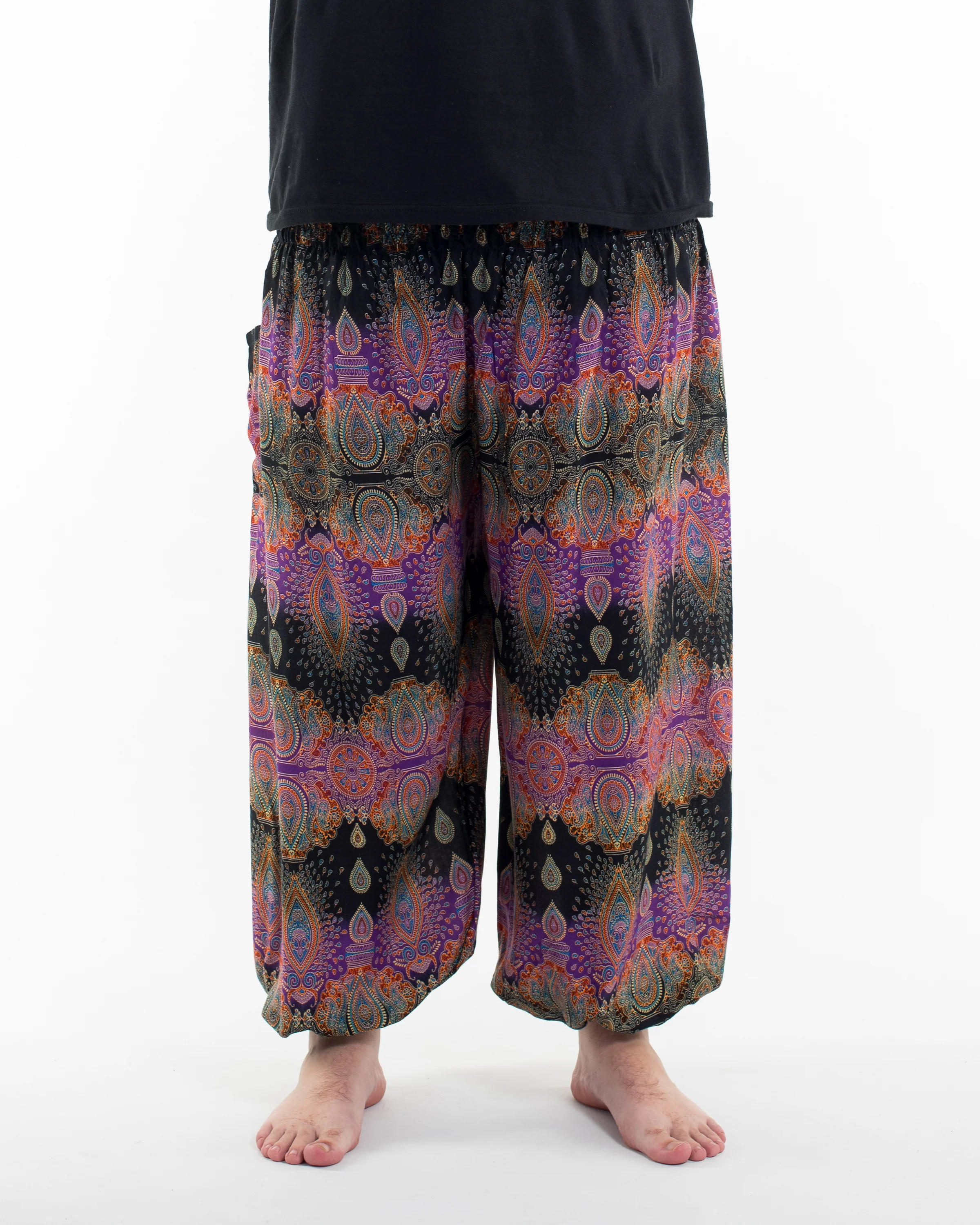 Plus Size Paisley Men's Harem Pants in Purple